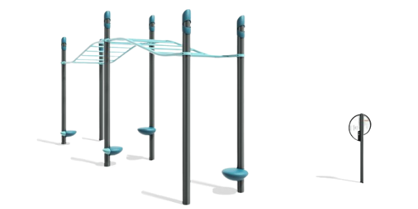 FitCore Extreme Angled Overhead Ladder